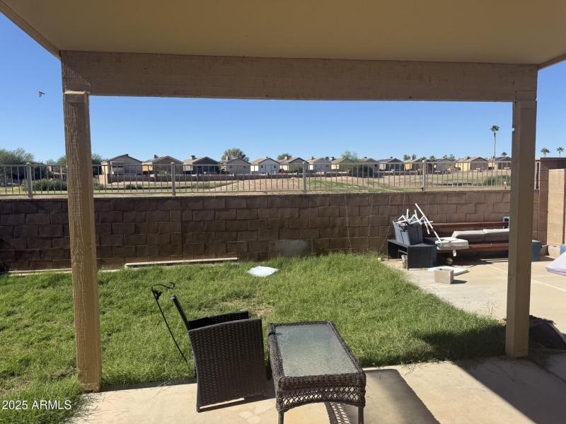 Brittlebush Backyard