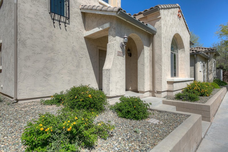 26313 N Babbling Brook - Exterior-8