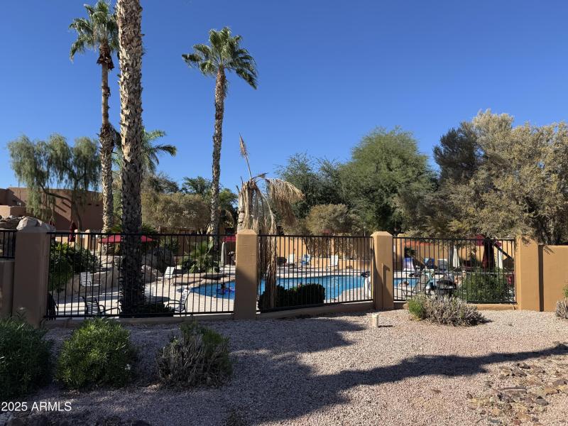 Community pool and water feature