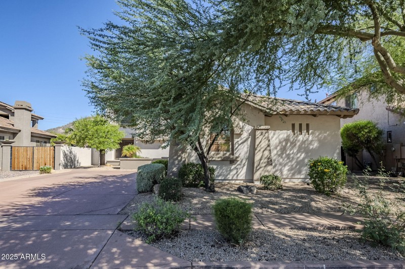 2-web-or-mls-Donatello-2