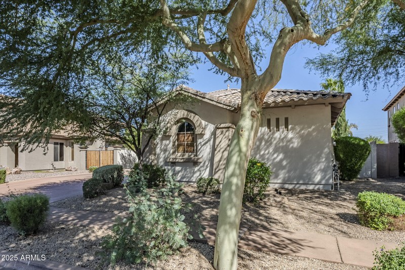 3-web-or-mls-Donatello-3