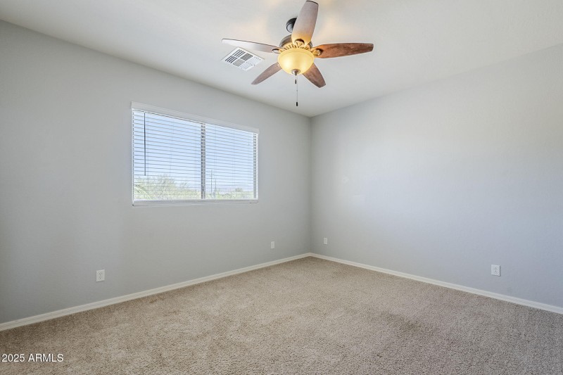 34-web-or-mls-Donatello-34