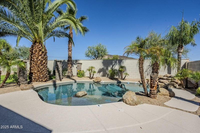 47-web-or-mls-Donatello-47