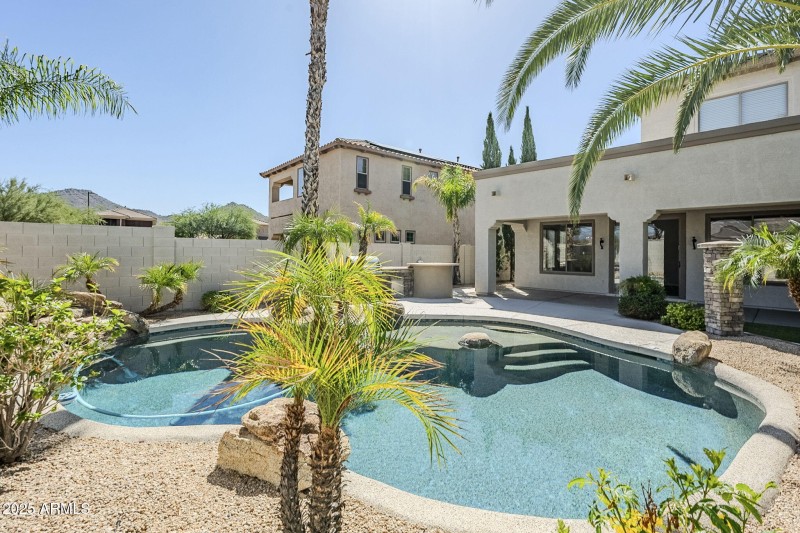 50-web-or-mls-Donatello-50