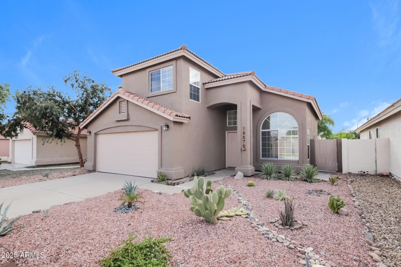 003-photo-front-view-11786386