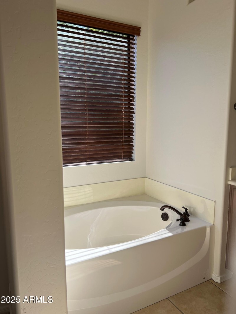 master bathroom tub