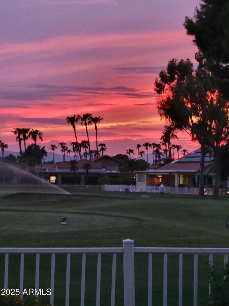 Sunset on Flame Tree