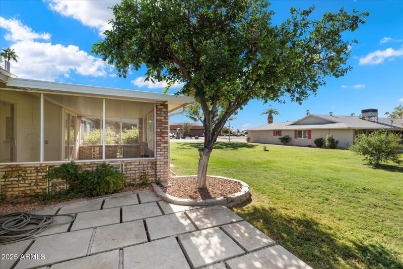 Lush and Open Backyard