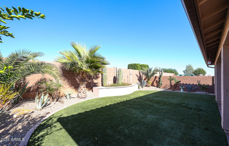 Backyard looking east