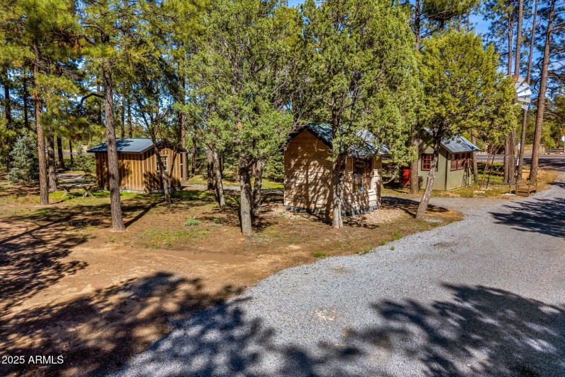 6835WWhiteMountainBlvd-PinetopAZ-26