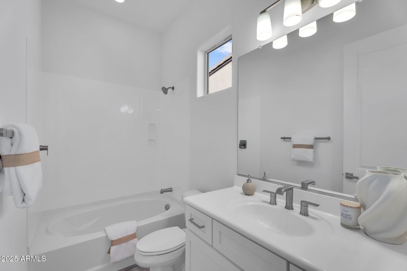 38-web-or-mls-Wild Barley-32