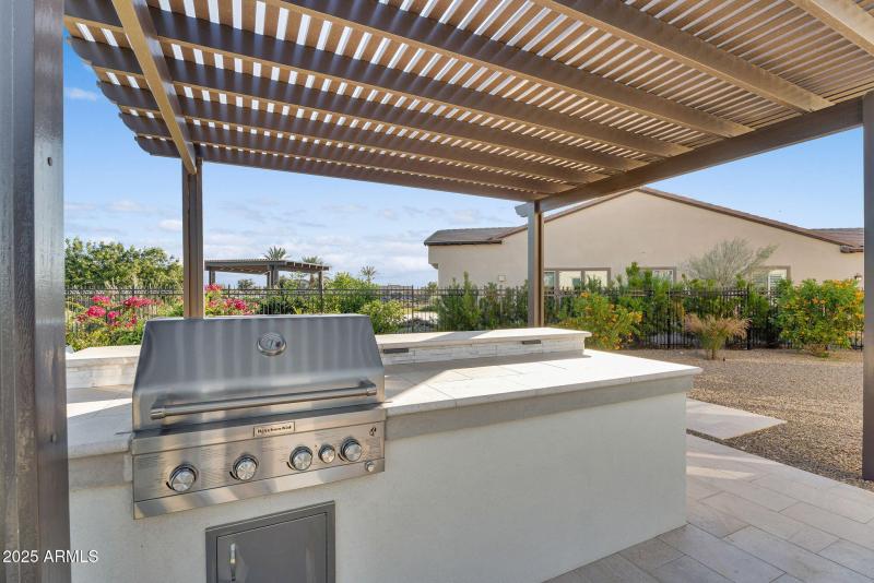 52-web-or-mls-Wild Barley-51