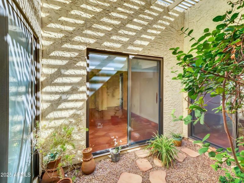 Another view of terrarium