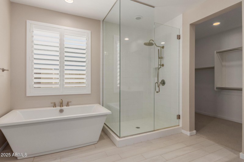 Primary Bathroom III