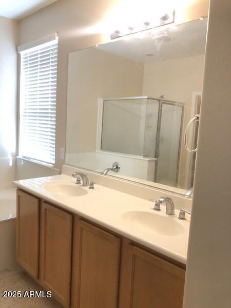 29+Dual+Master+Sinks