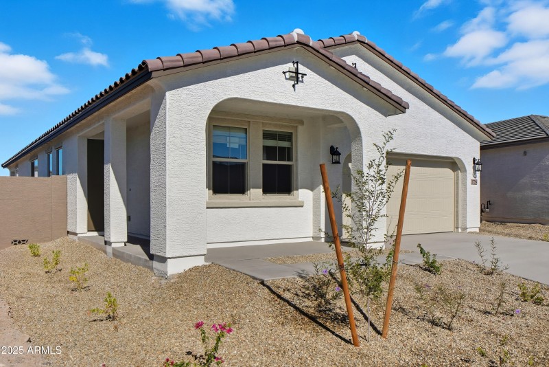 Acacia HS #76 Web-15