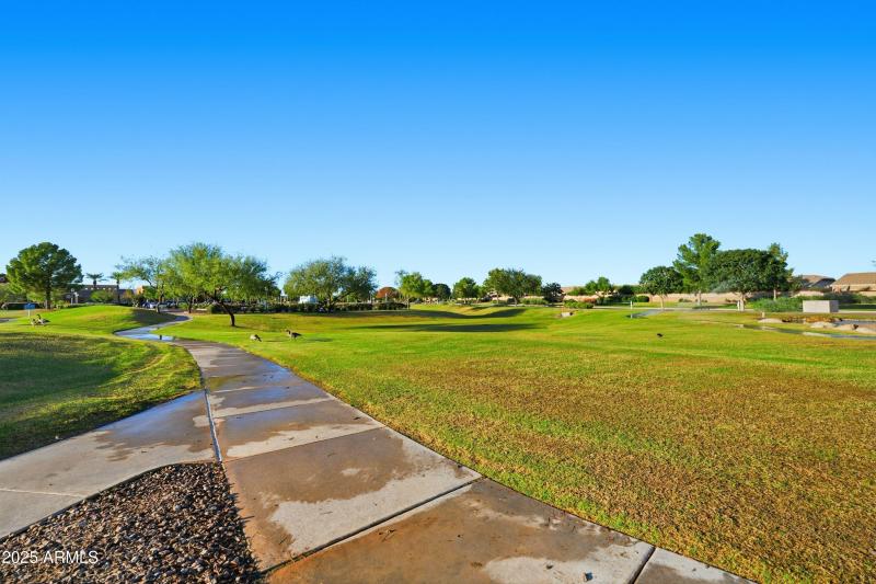 46-print-ListerPros_049