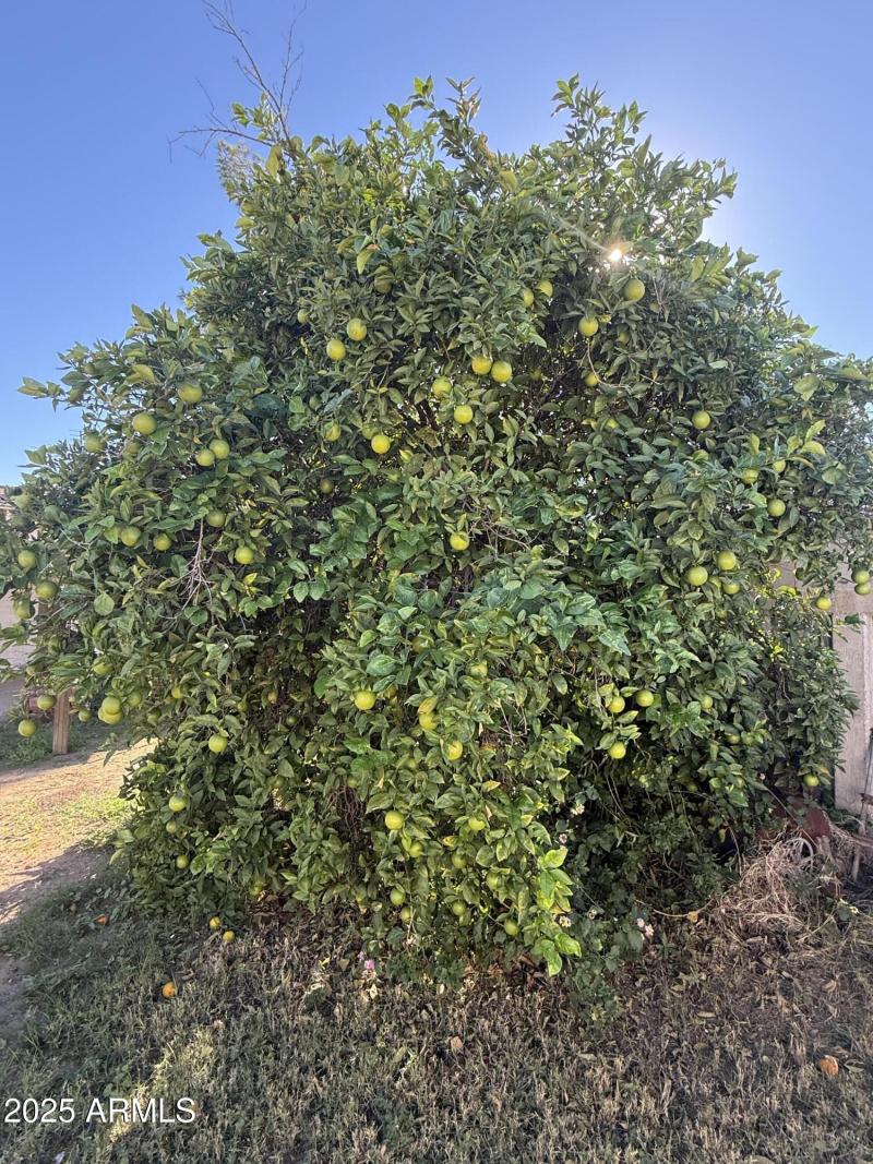 697B0D6C-AFB2-48AC-A64A-DE5FF30494DA