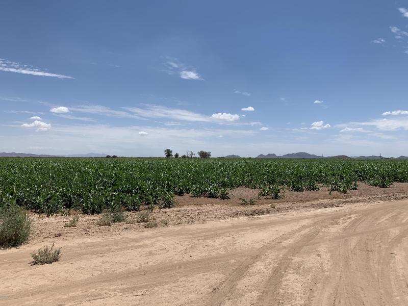 Two Parcels Available!