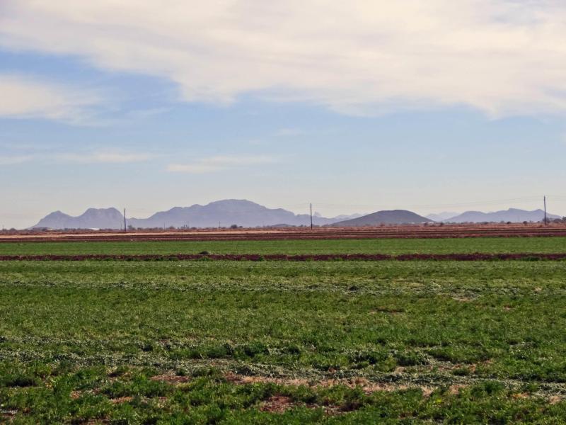 Ready for Your Crops!