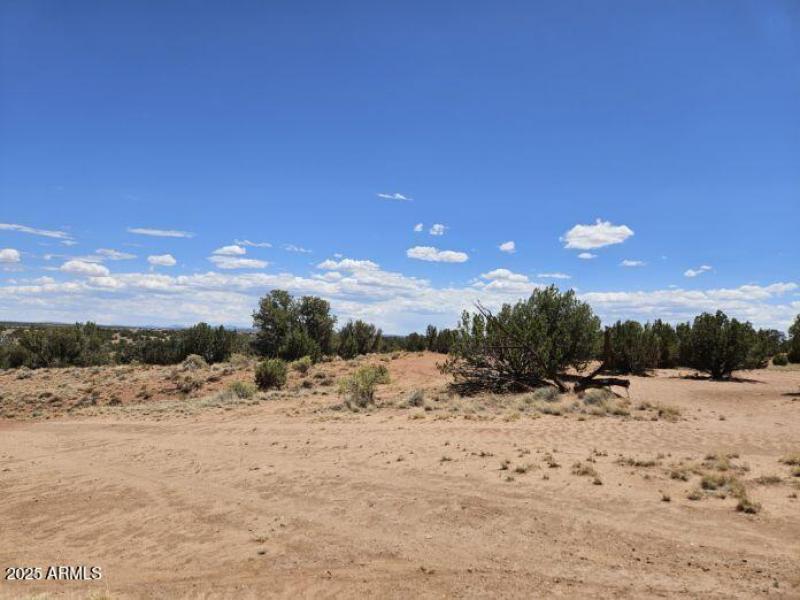 Resized_20250709_133244