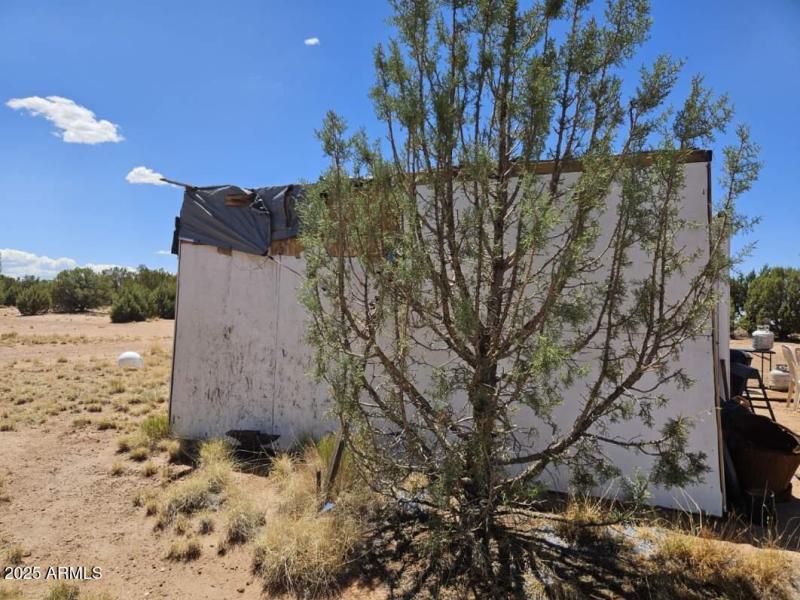 Resized_20250709_133230 (1)