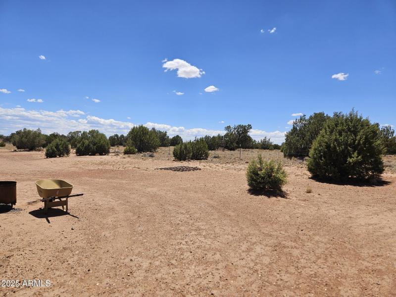 Resized_20250709_133056 (1)