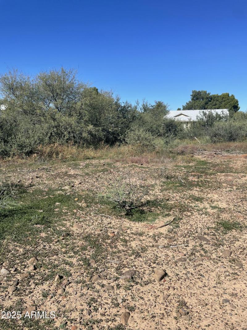 View from back of lot facing front