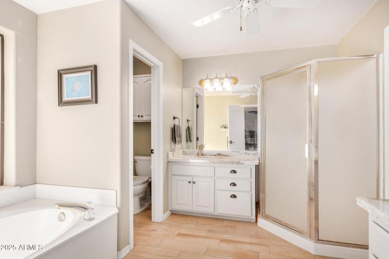 master bathroom-downstairs