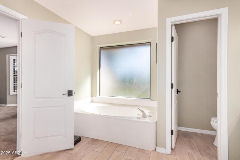 master bathroom-downstairs