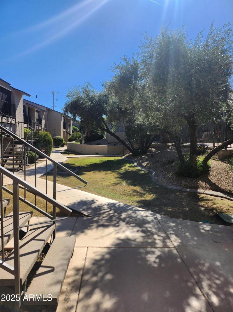 Shamrock common area