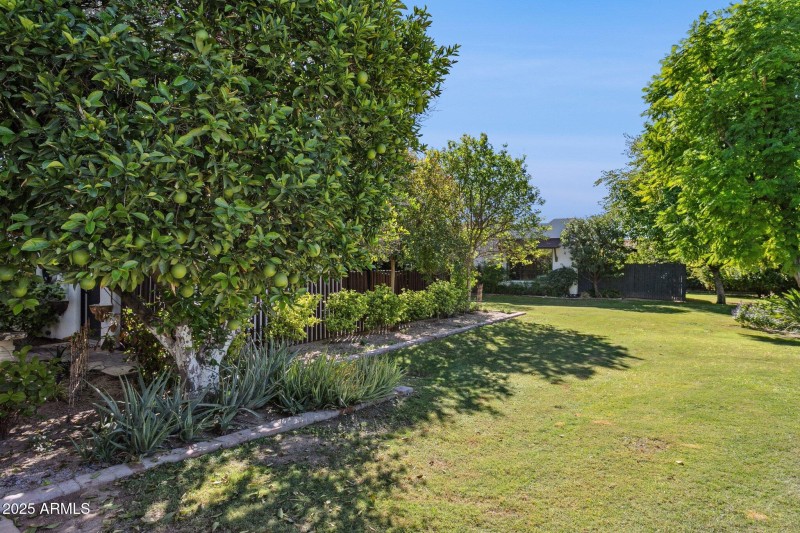 51-web-or-mls-7005-e-jackrabbit-rd