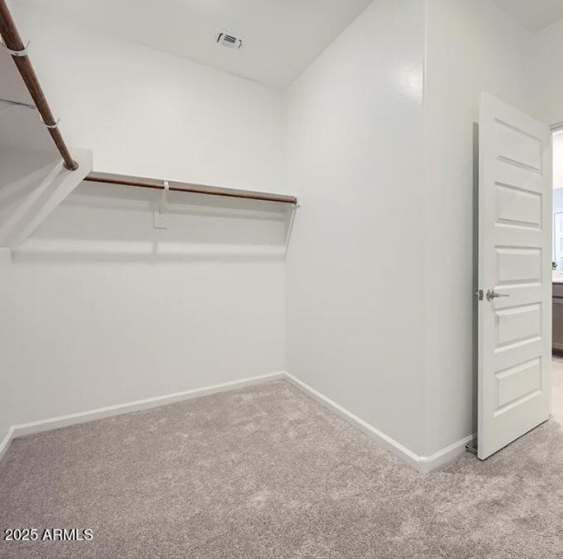 Owners Walk in Closet