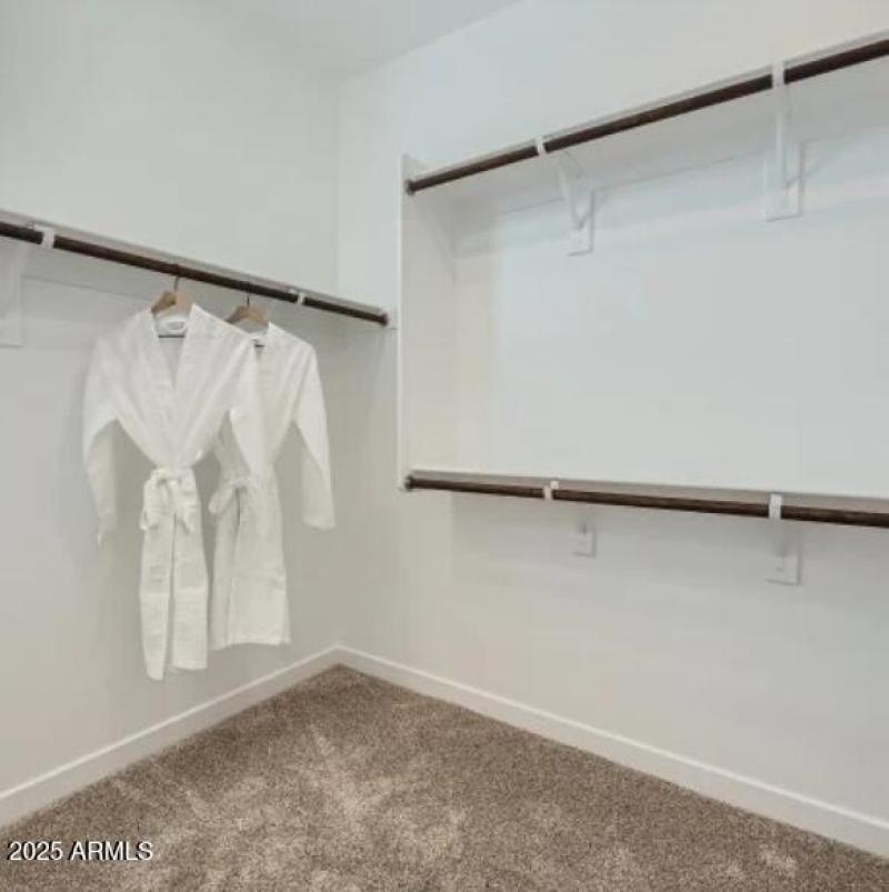 Owners Walk in Closet