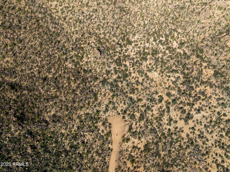 Build Your Custom Home