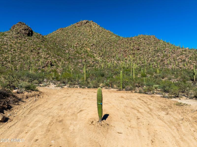 40 acres of pristine high desert