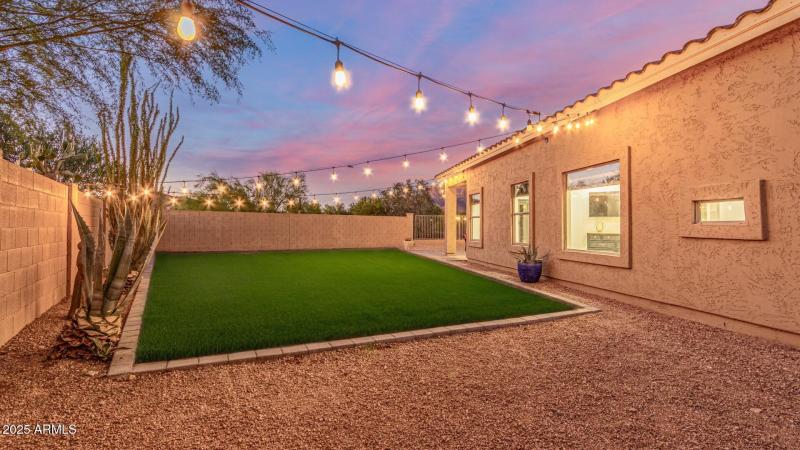 Grassy Space For Family Fun