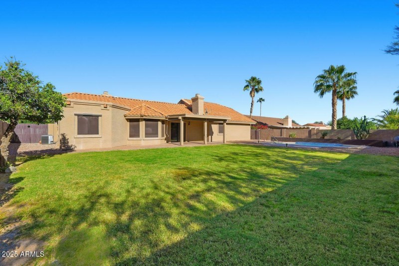 Lots of room to roam