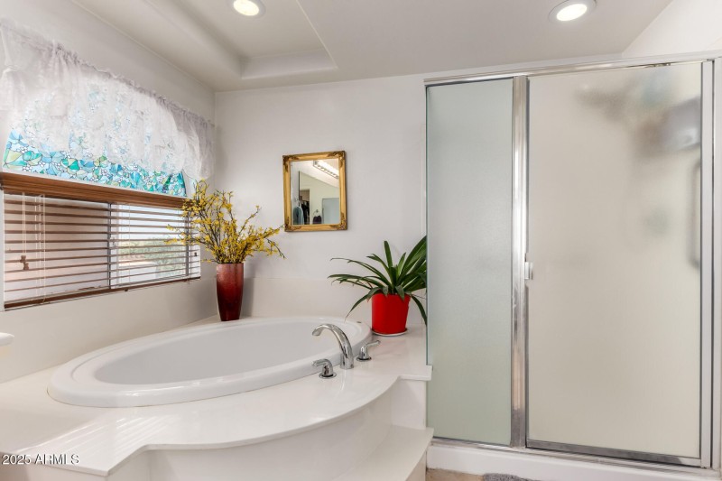 Garden tub and separate shower