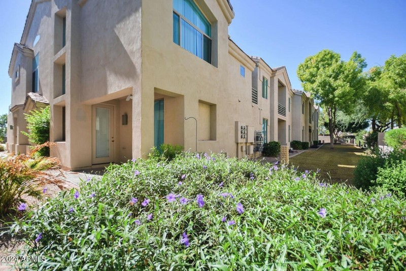 Screen Shot 2024-08-18 at 10.45.19 PM