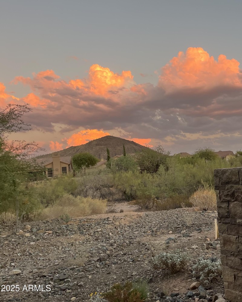 11673 N 136th Street 1018 Sunset photo 2