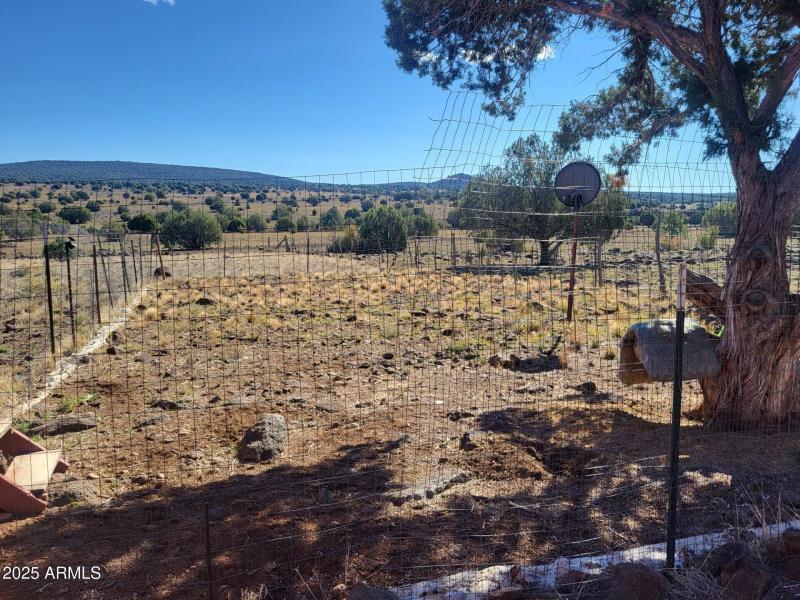 thumbnail_20251023_104223