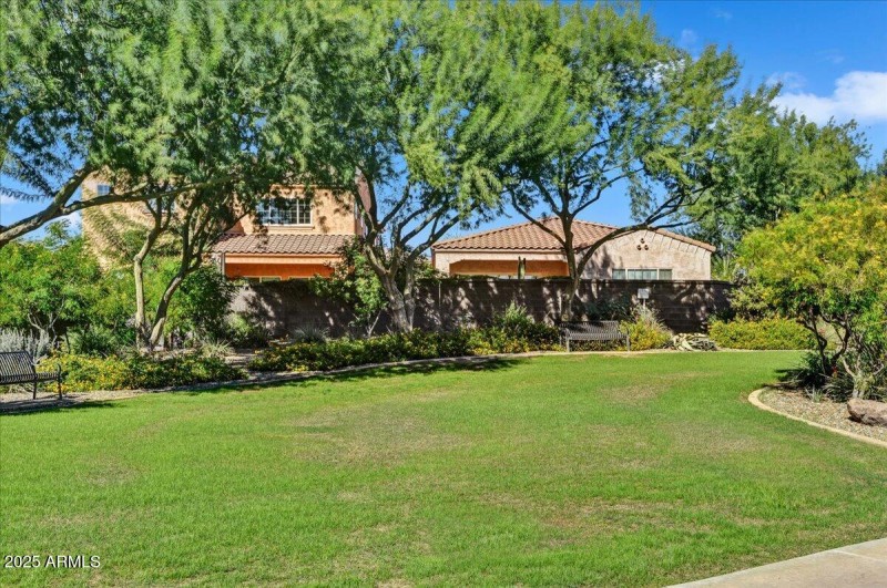 26-Community Grassy Parklet