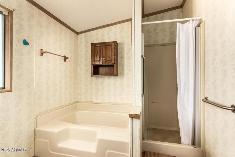 Primary Bath with Tub and Shower
