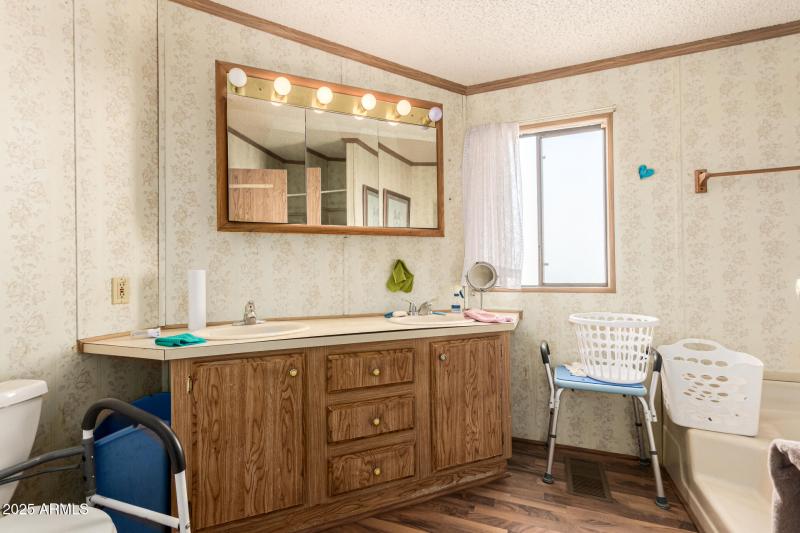 Primary Bathroom Vanity Area