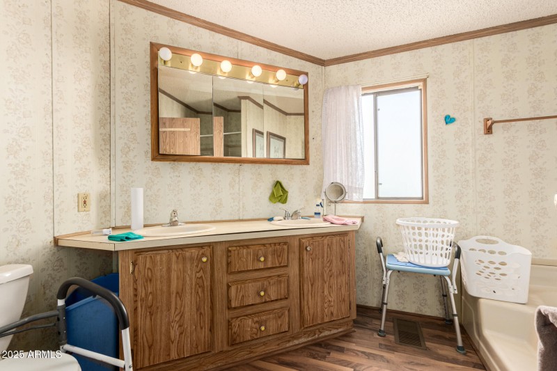 Primary Bathroom Vanity Area