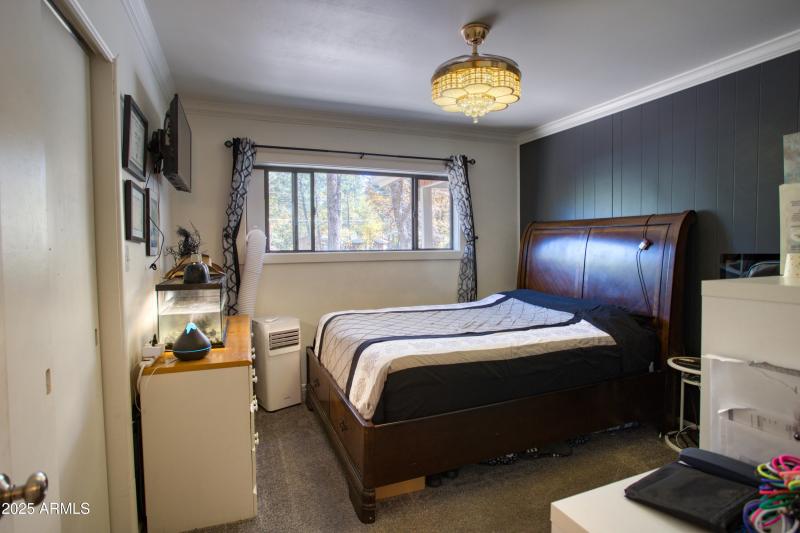 Paxmanphoto_PAX_8815