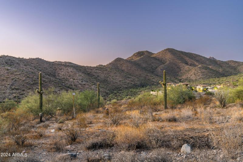 21524 N 110th Pl #1827 (15 of 43)