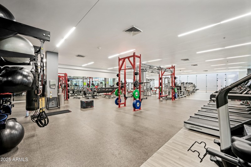 10-OptimaCamelview-ocupix-Comm