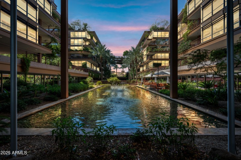 1-OptimaCamelview-ocupix-Comm